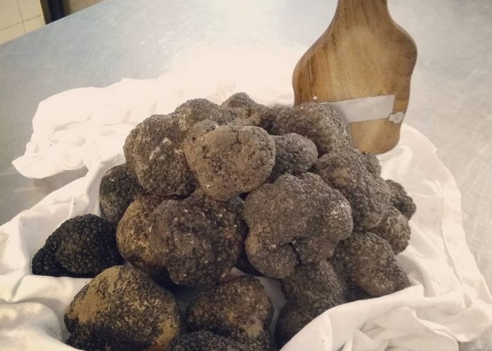 black truffle alba