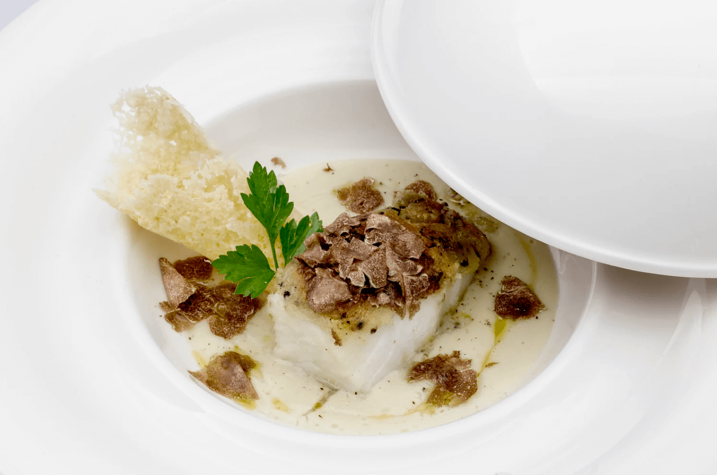 Truffle Varieties, Market Trends, And Canine Training Applications
