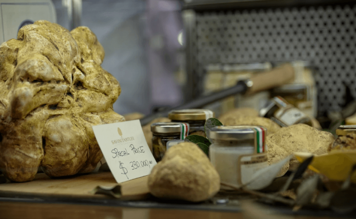 prize for fresh white truffle from alba