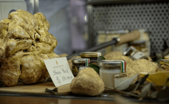 Where To Buy Fresh Alba S White Truffle Truffle Hunting Tours In Piedmont Region