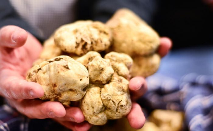 All The Italian Black And White Truffle Types