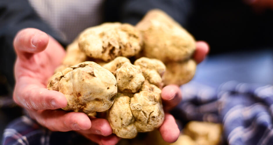 28 Italian Black and White truffles types